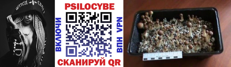 Галлюциногенные грибы прущие грибы  купить   Выкса 