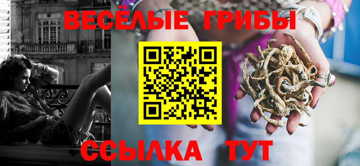 Псилоцибиновые грибы Psilocybe Выкса